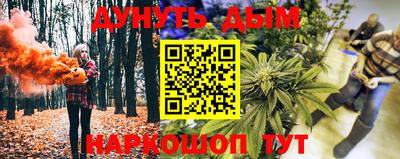 apvp Камышлов