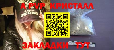apvp Камышлов