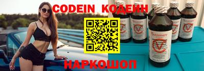 apvp Камышлов