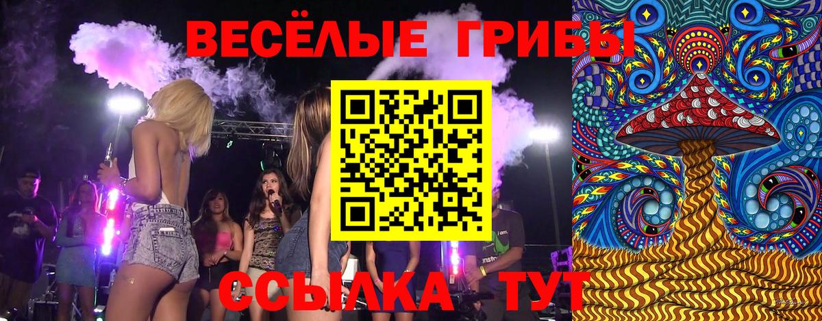 Галлюциногенные грибы Cubensis Лангепас